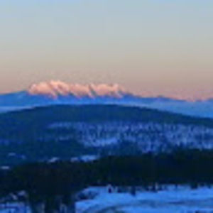 Meet your Posher, Tyson